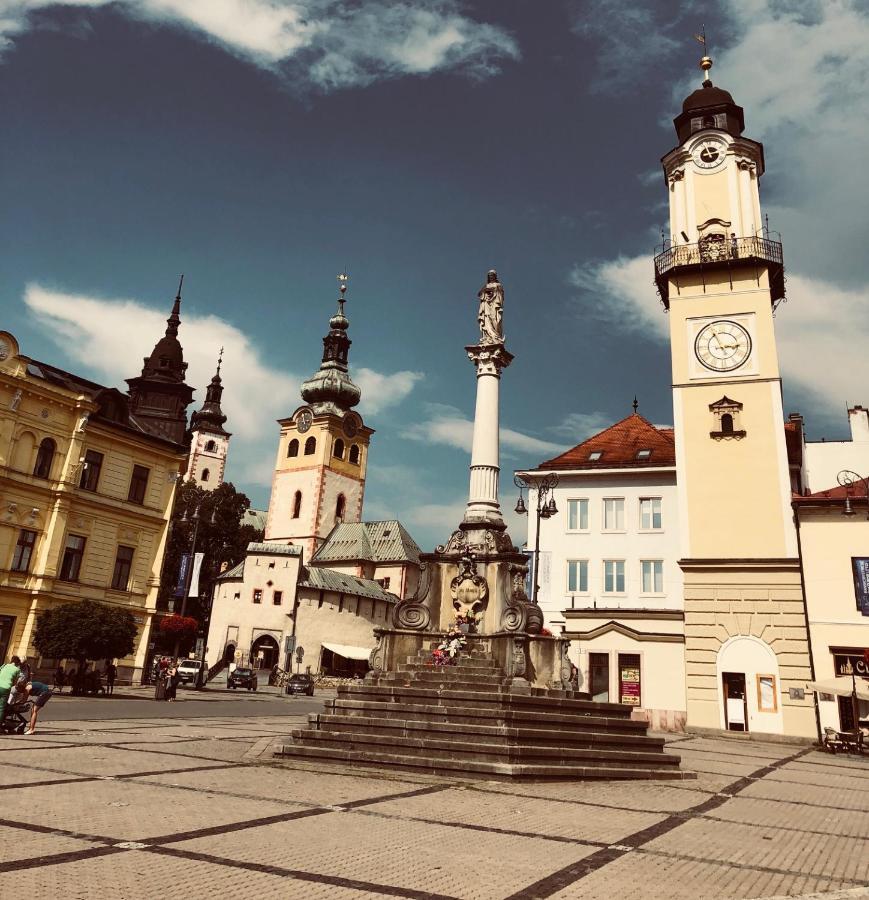 Bl Luxury Apartment, 24Hr Self Check-In, Free Private Garage Parking, Panoramic Views From Balcony, 5 Minute Walk To City Center Banska Bystrica Exterior photo